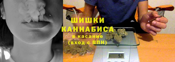 тгк Дмитриев