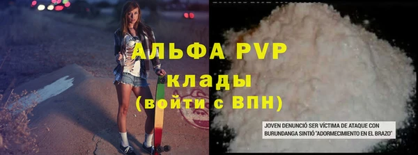 тгк Дмитриев