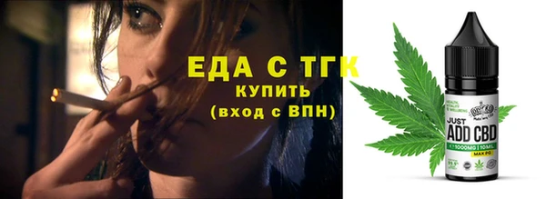тгк Дмитриев