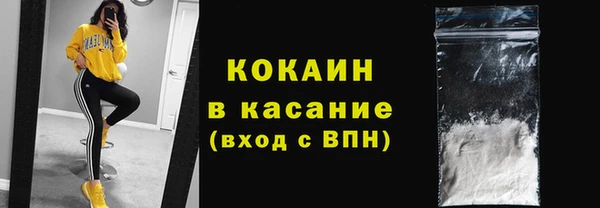 тгк Дмитриев