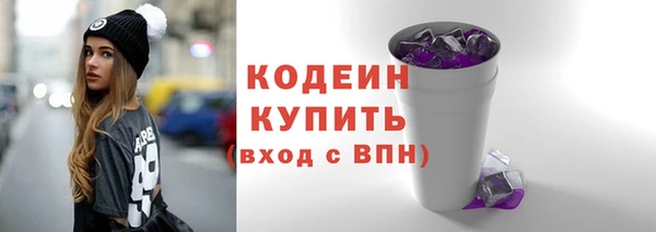 тгк Дмитриев