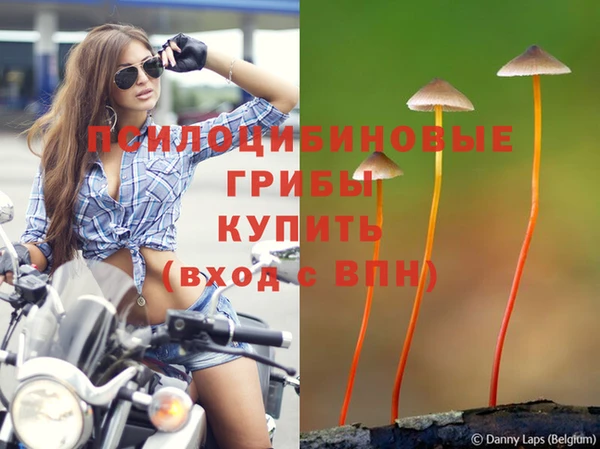 скорость mdpv Дмитров