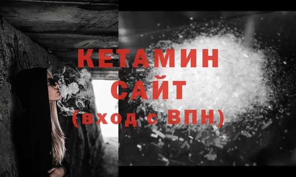 тгк Дмитриев
