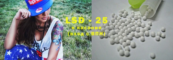тгк Дмитриев