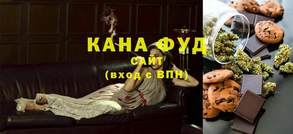 тгк Дмитриев