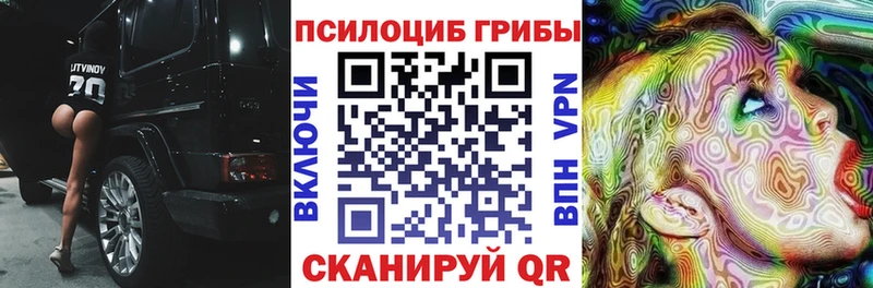 наркошоп  Зея  Галлюциногенные грибы MAGIC MUSHROOMS 