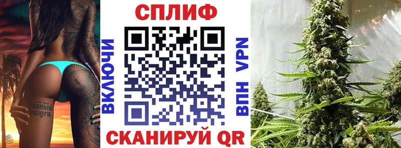 Шишки марихуана марихуана  даркнет сайт  Зея 